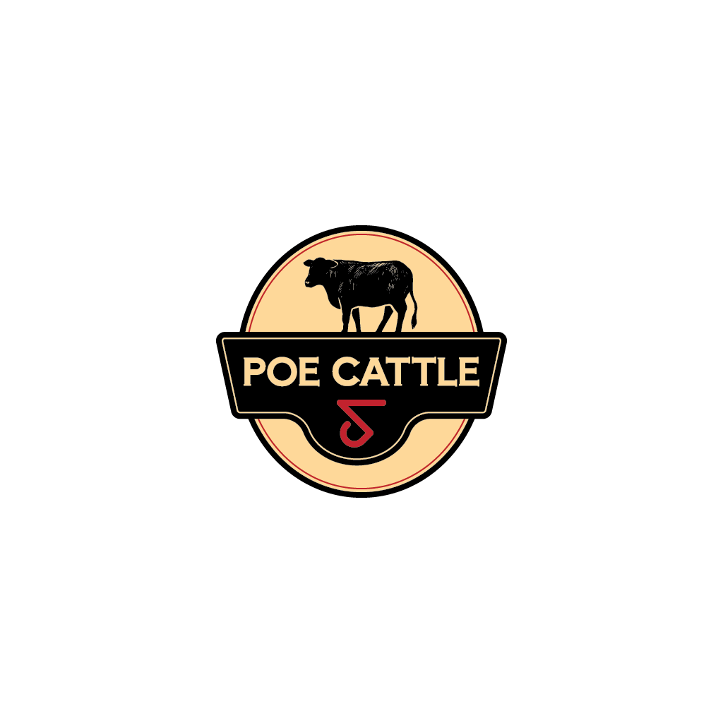 Diseño de Logo por Jerwin Intac para este proyecto | Diseño #36588815