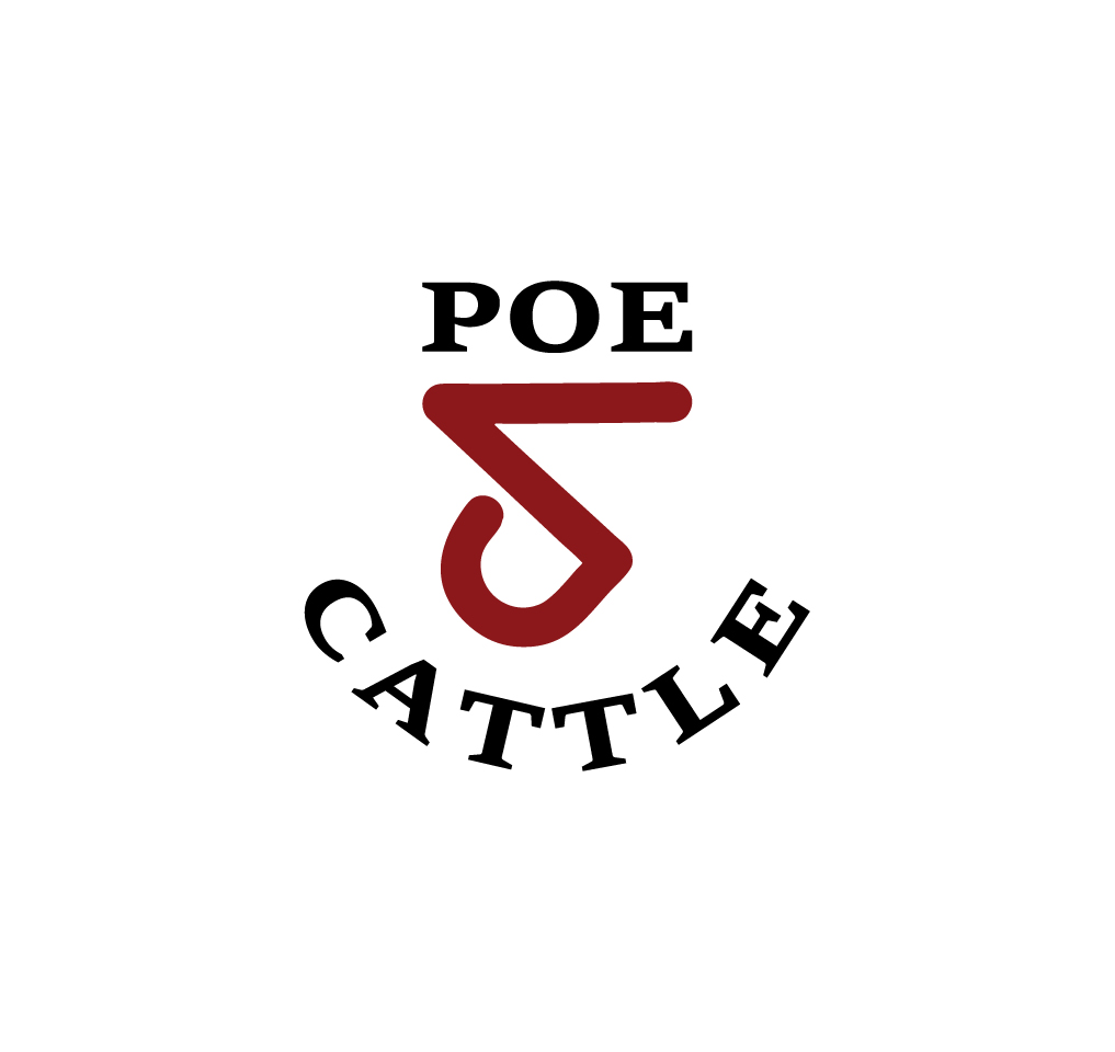 Diseño de Logo por Onse Officials para este proyecto | Diseño #36603892