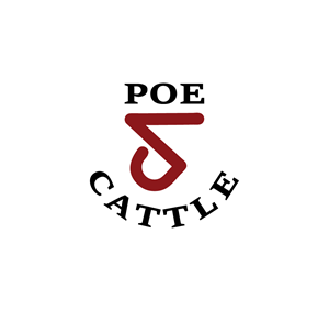 Diseño de Logo por Onse Officials para este proyecto | Diseño: #36603892