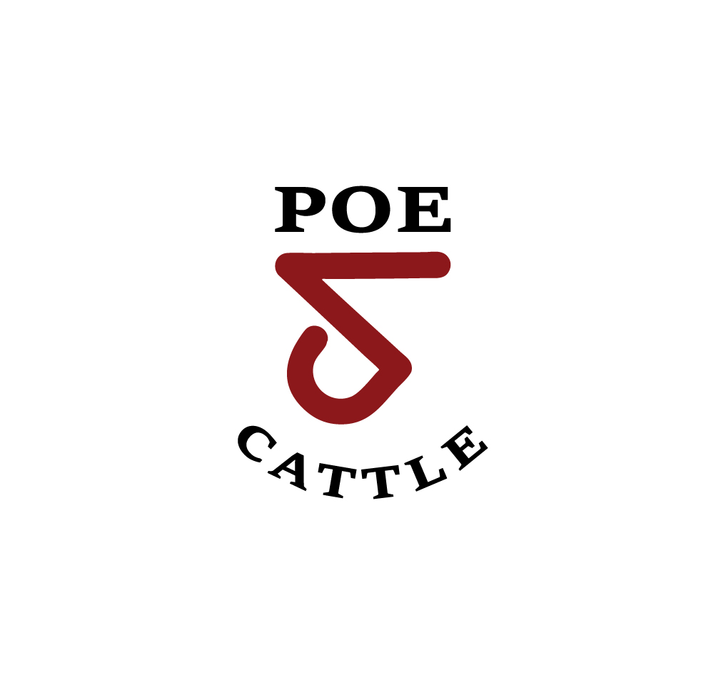 Diseño de Logo por Onse Officials para este proyecto | Diseño #36603893