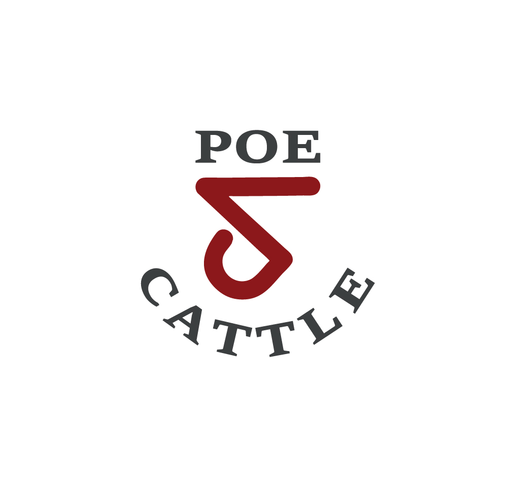 Diseño de Logo por Onse Officials para este proyecto | Diseño #36612710