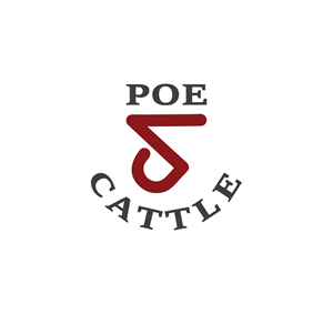 Diseño de Logo por Onse Officials para este proyecto | Diseño: #36612710