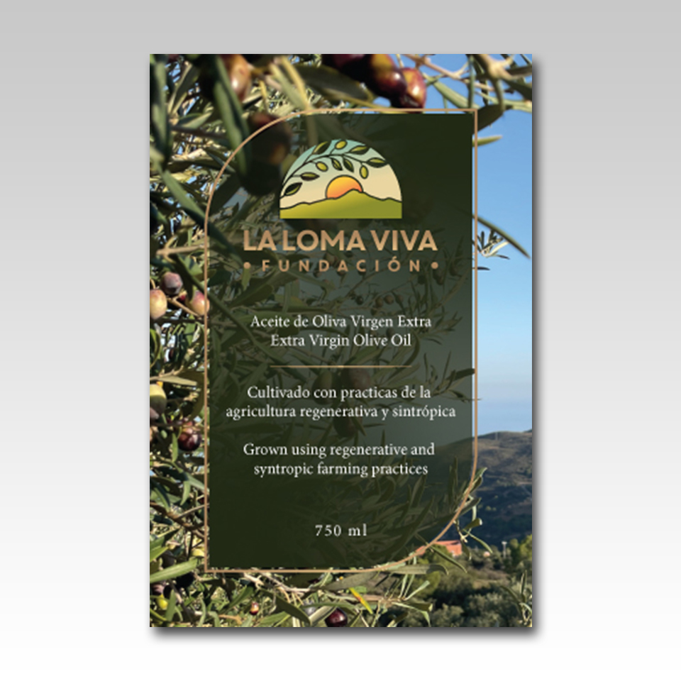 Graphic Design by YourLogoMaster for this project | Design #36620407