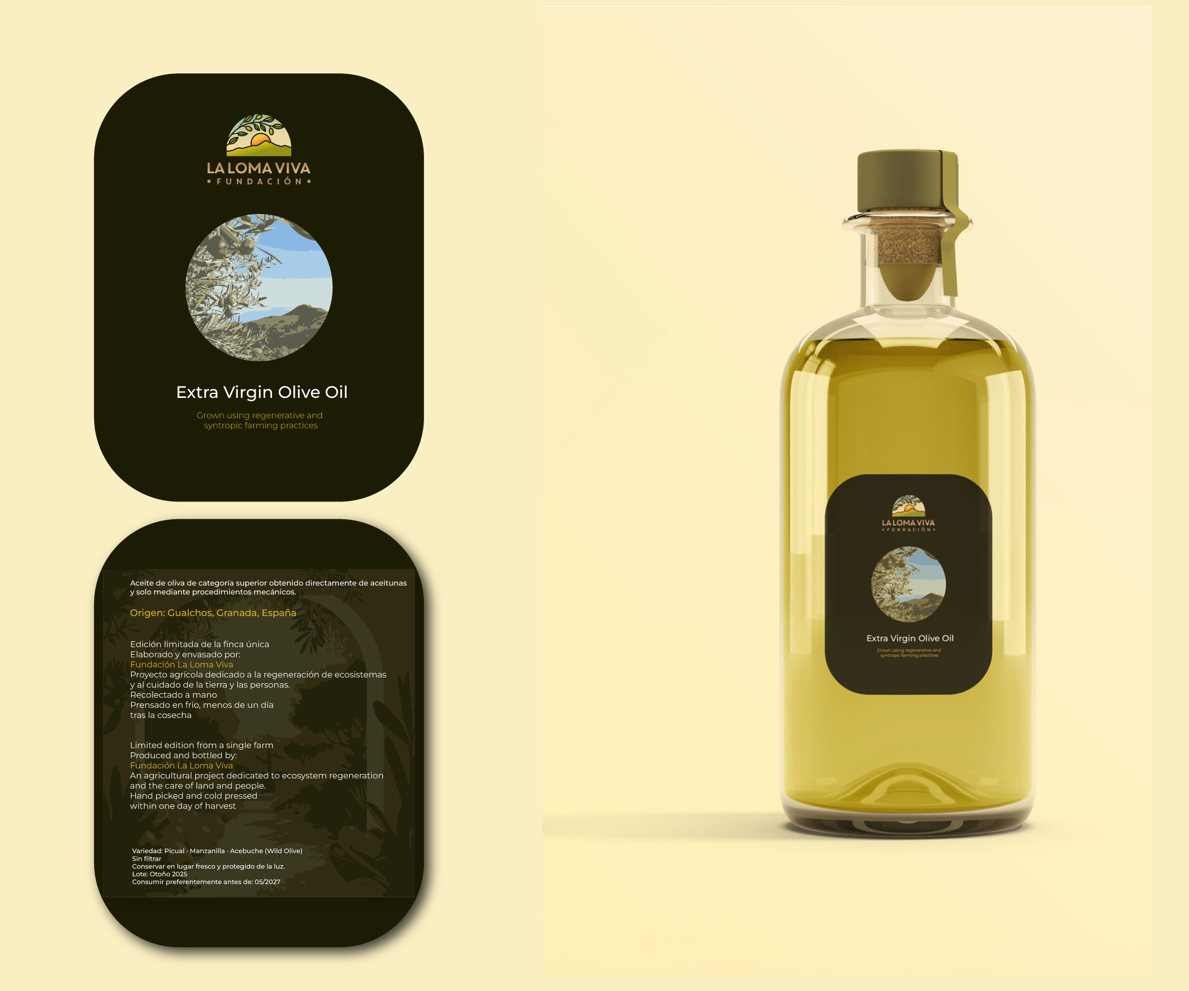 Graphic Design by Creative Rogue for this project | Design #36601986