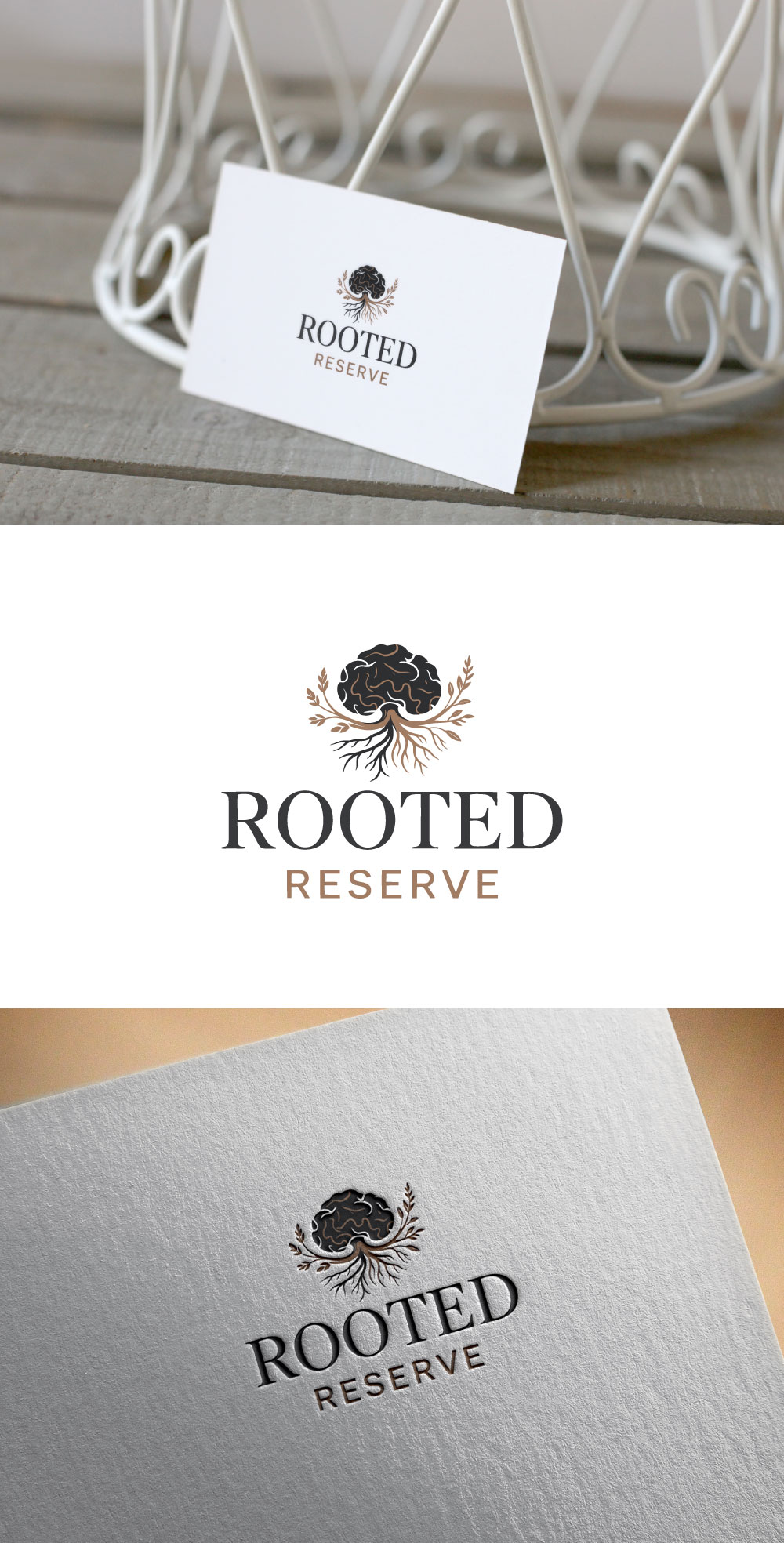 Diseño de Logo por KING JM para este proyecto | Diseño #36593858