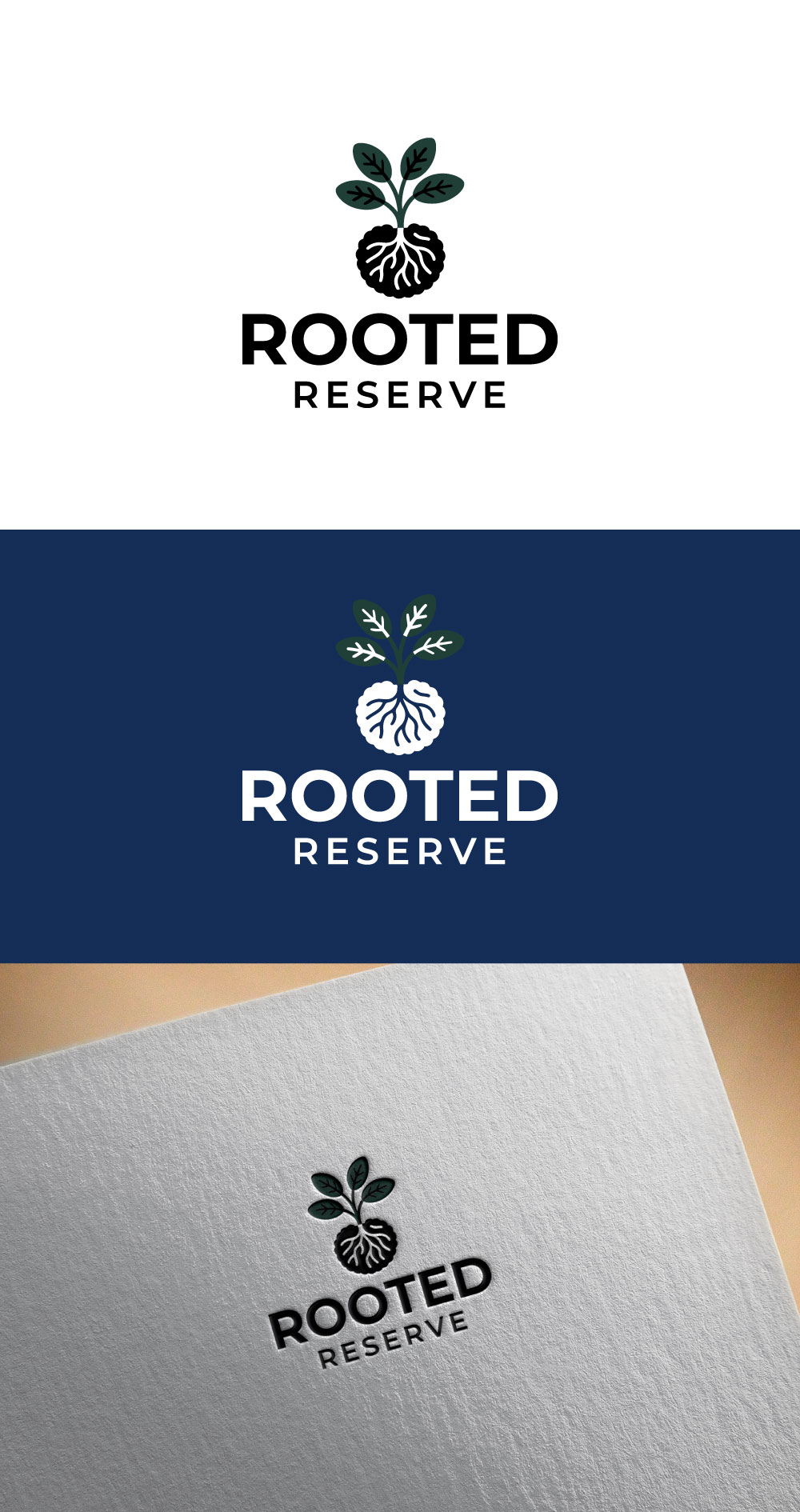 Diseño de Logo por DesignVerse777 para este proyecto | Diseño #36605066