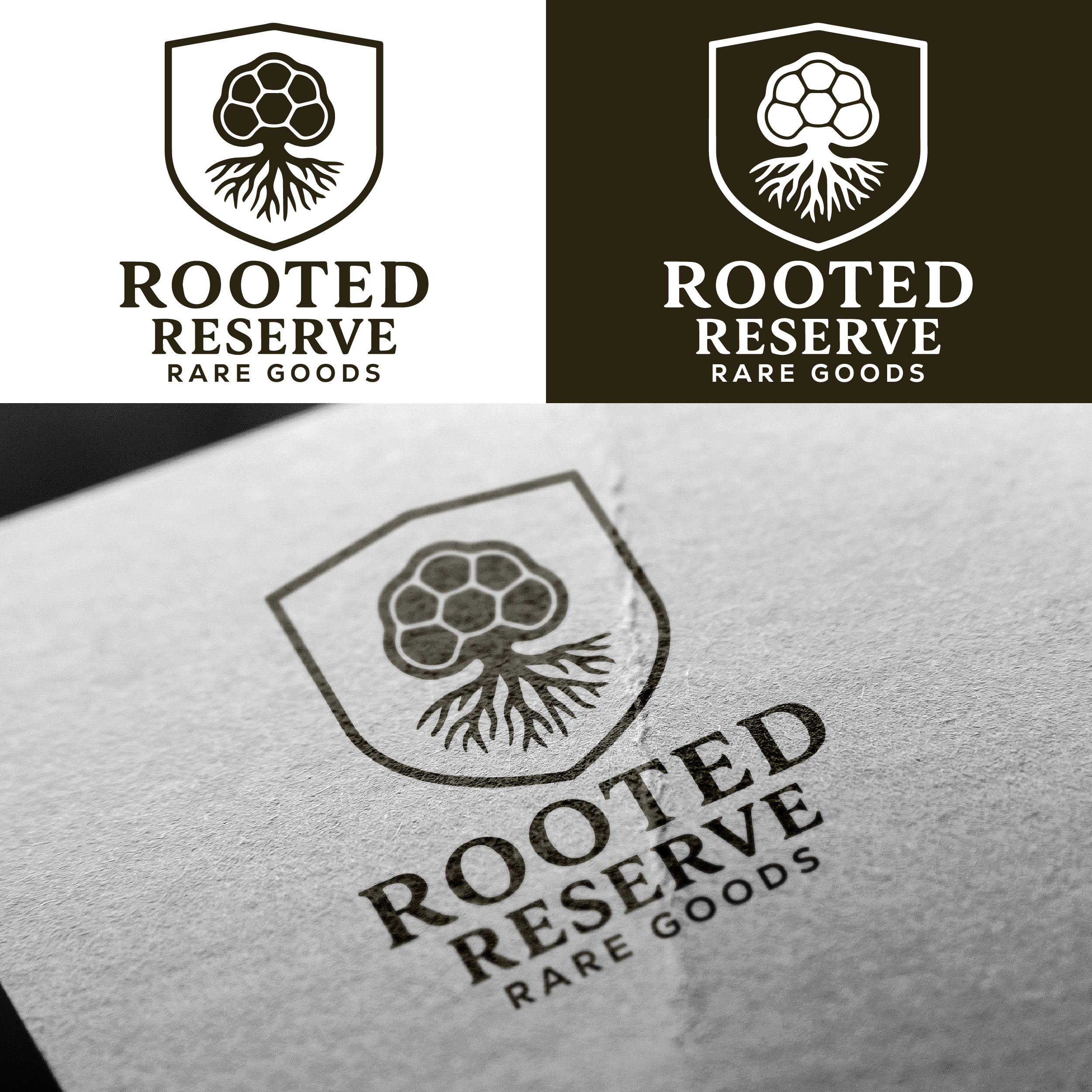 Diseño de Logo por ahmeddesigner123 para este proyecto | Diseño #36592964