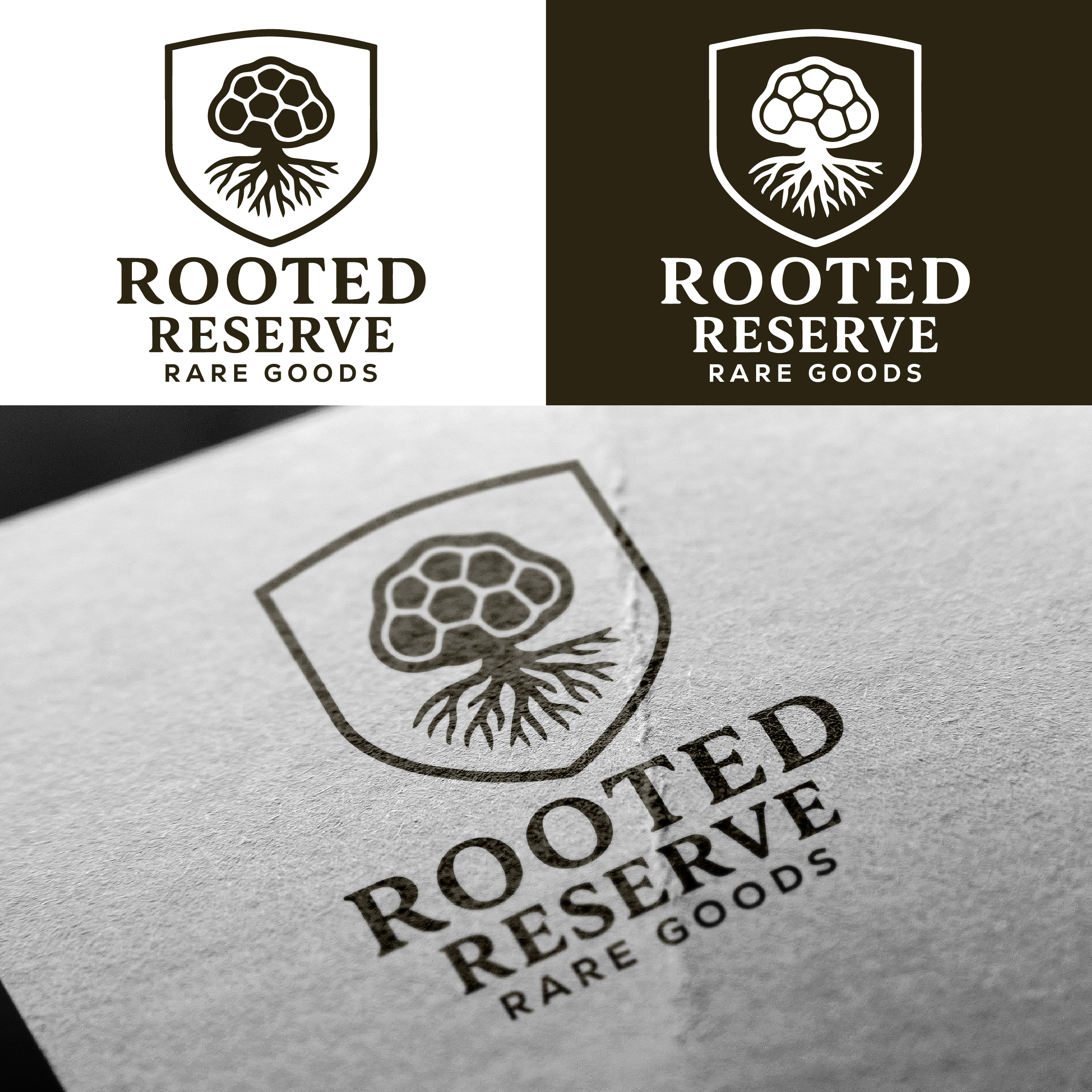 Diseño de Logo por ahmeddesigner123 para este proyecto | Diseño #36592969