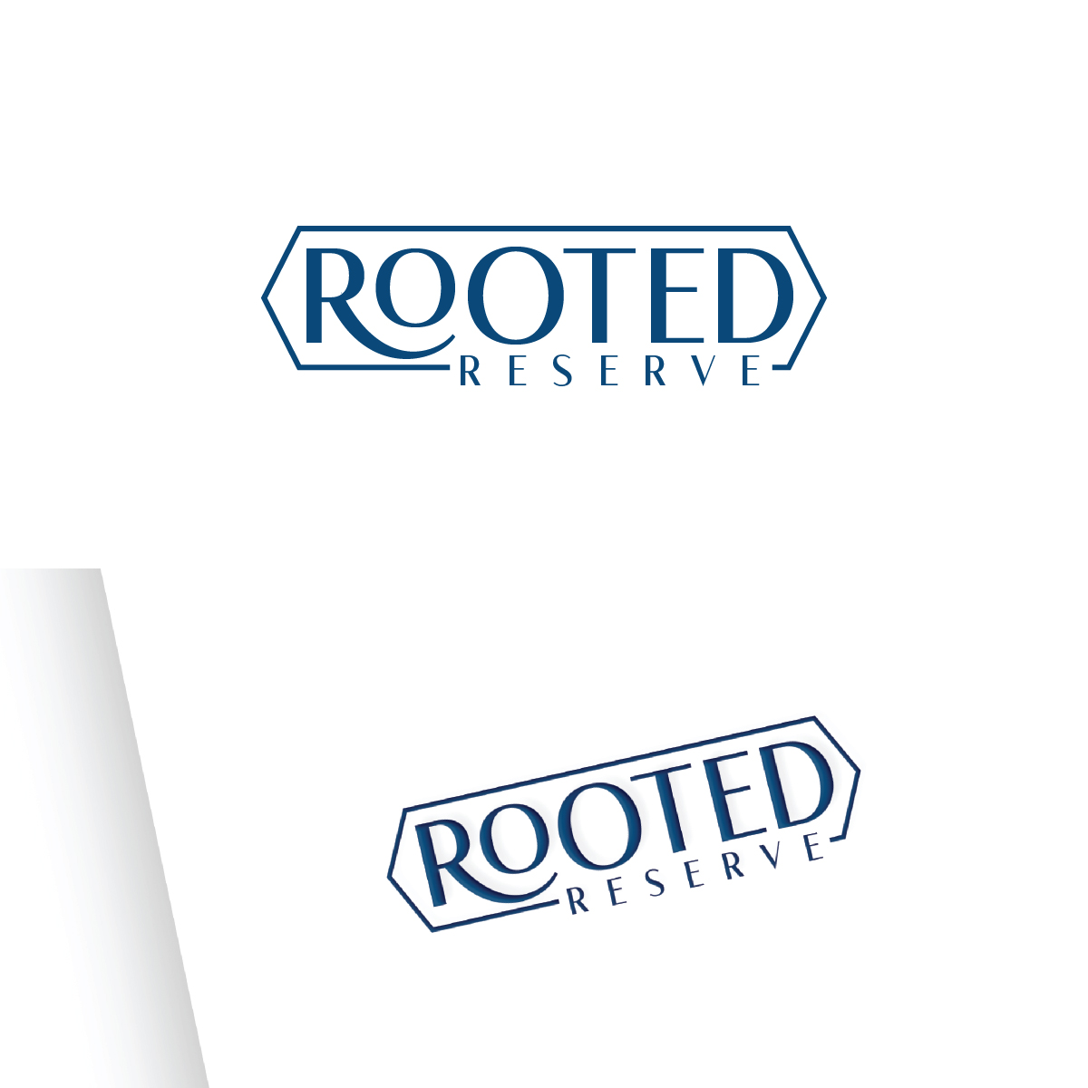 Diseño de Logo por Maxo-Biz para este proyecto | Diseño #36595824