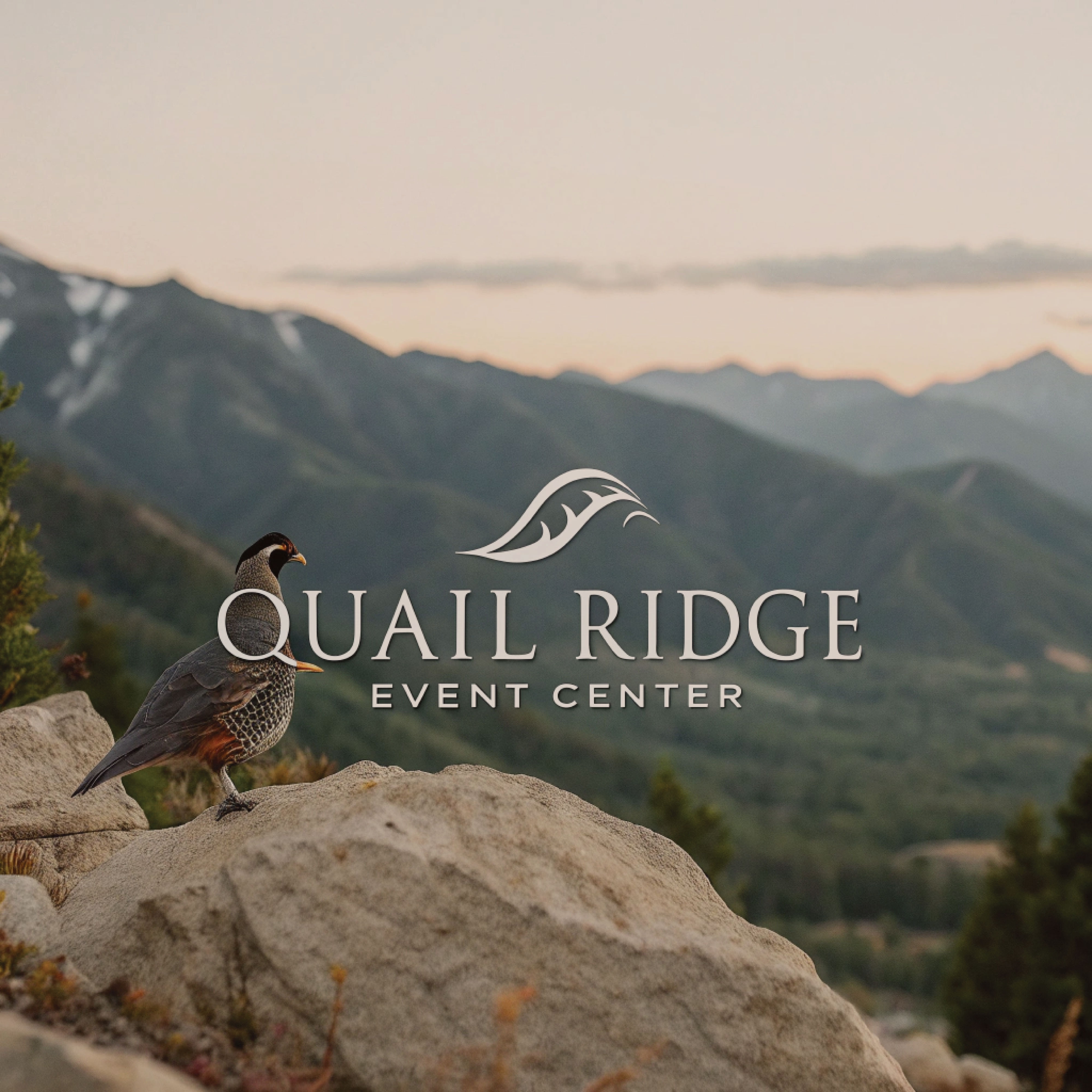 Diseño de Logo por Design Kit Mazba para este proyecto | Diseño #36612683