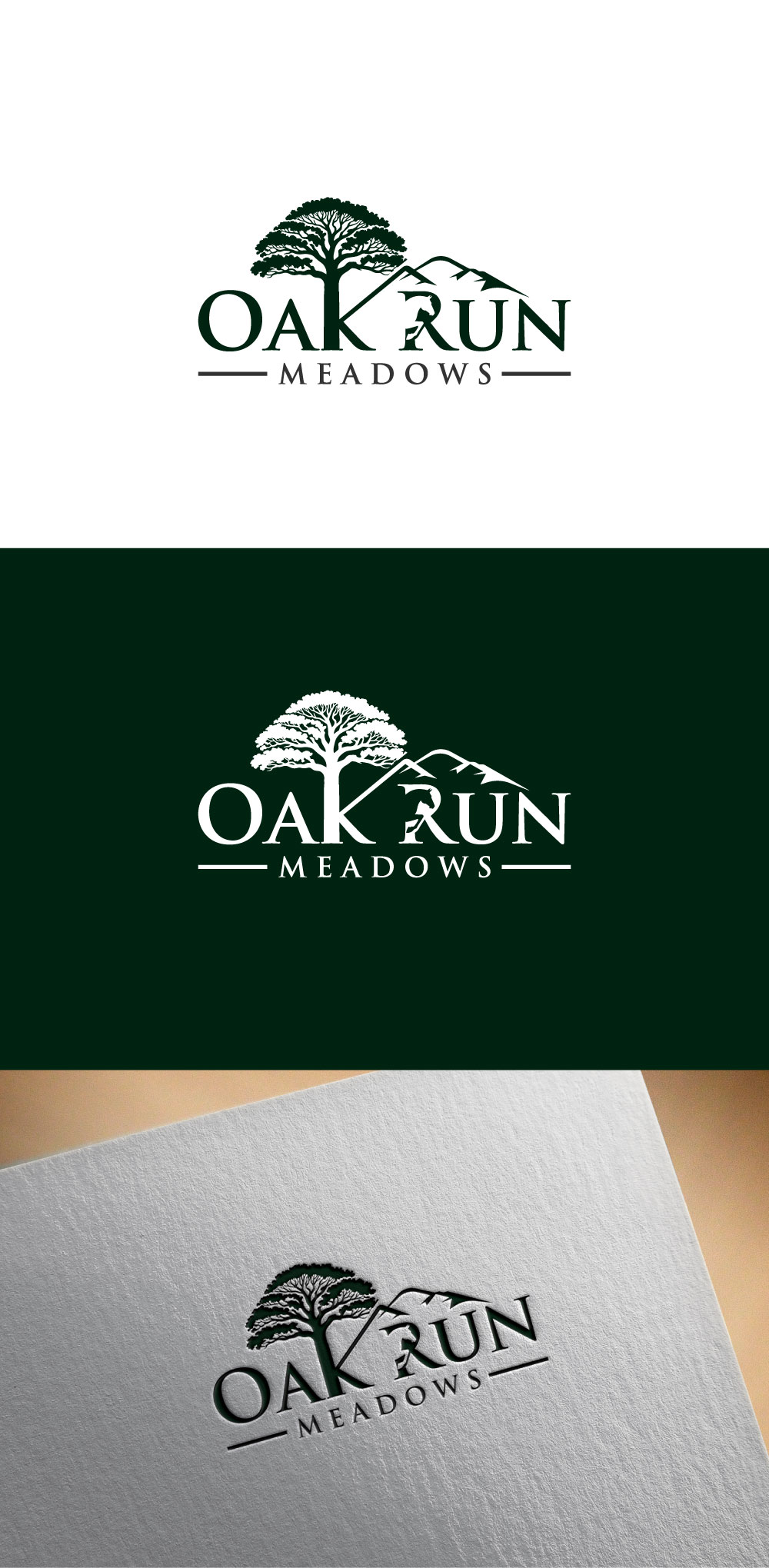 Logo Design by DesignVerse777 for this project | Design #36609698