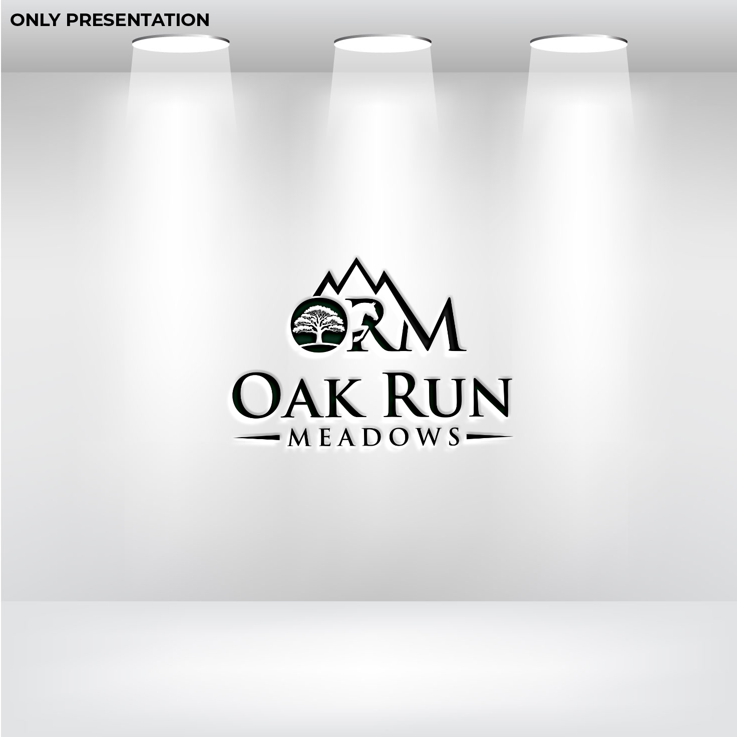 Diseño de Logo por DesignVerse777 para este proyecto | Diseño #36609762