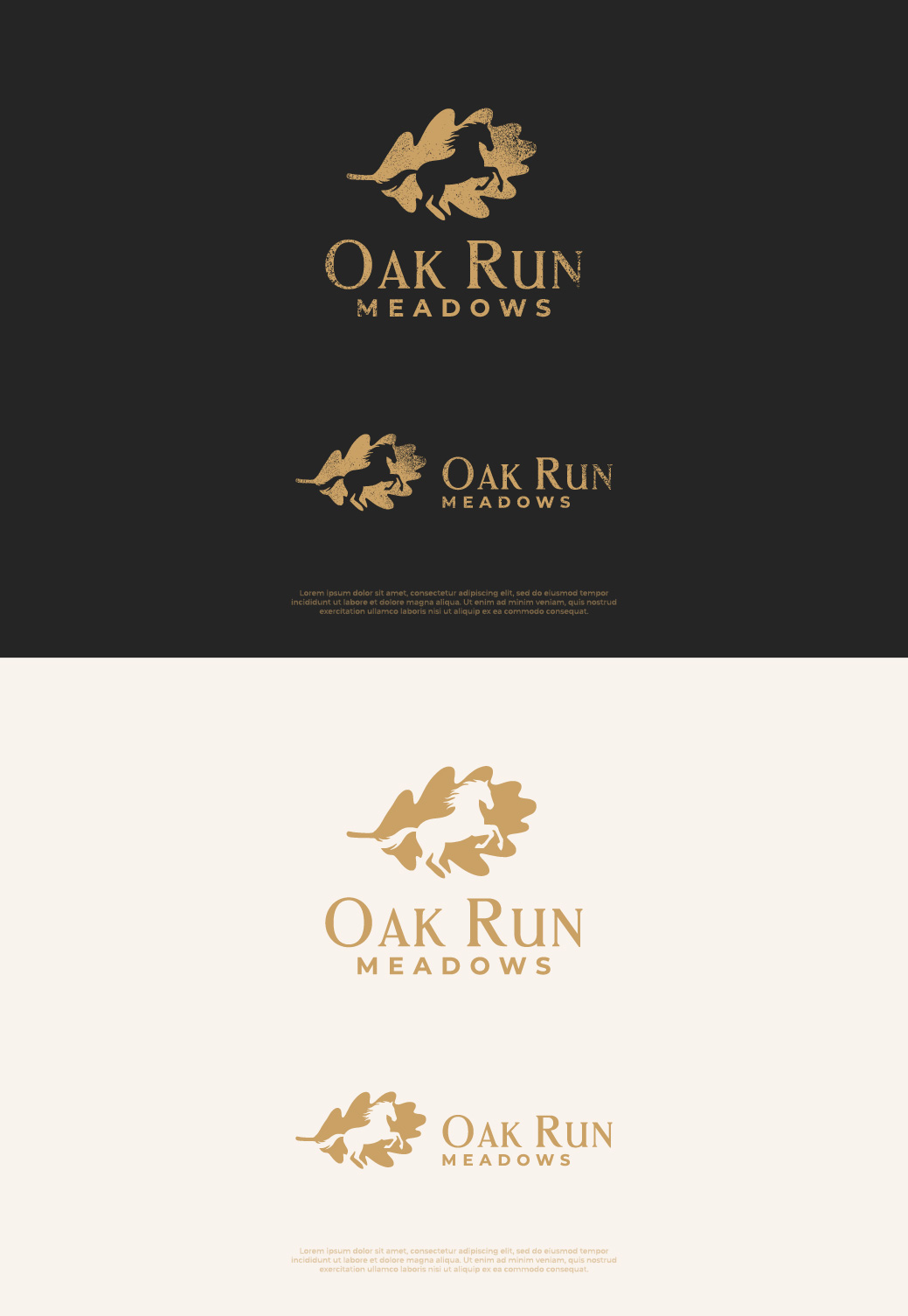 Design de Logo par Nash_Shaha pour ce projet | Design #36631979