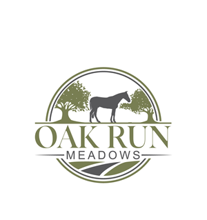 Design de Logo par ThemeBoss pour ce projet | Design : #36612459