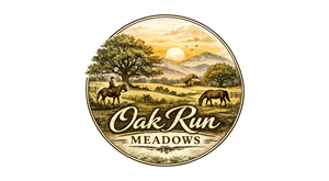 Design de Logo par Hanzulla wahid pour ce projet | Design : #36627352