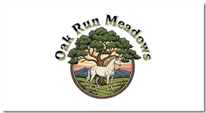 Design de Logo par Hanzulla wahid pour ce projet | Design : #36627354