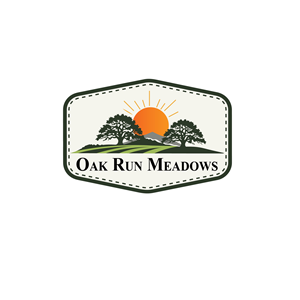 Logo Design by bethmage janaka for this project | Design #36627633