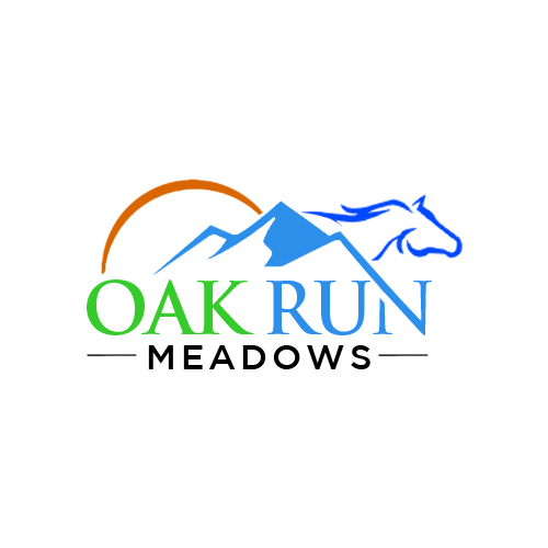 Logo Design by Noor Ezz for this project | Design #36683775