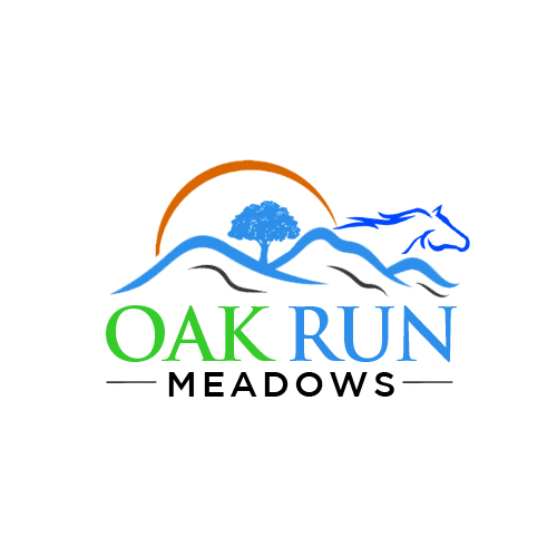 Diseño de Logo por Noor Ezz para este proyecto | Diseño #36683776