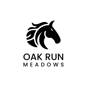 Design de Logo par Turz Design pour ce projet | Design : #36608130