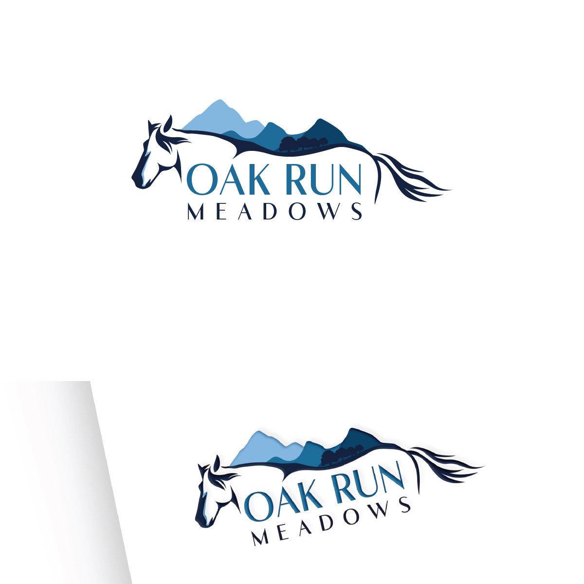 Design de Logo par Maxo-Biz pour ce projet | Design #36613715