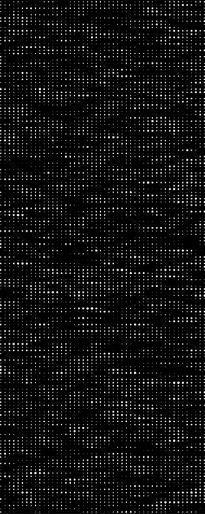 Graphic Design by Saif Ullah Khan for this project | Design: #36655441