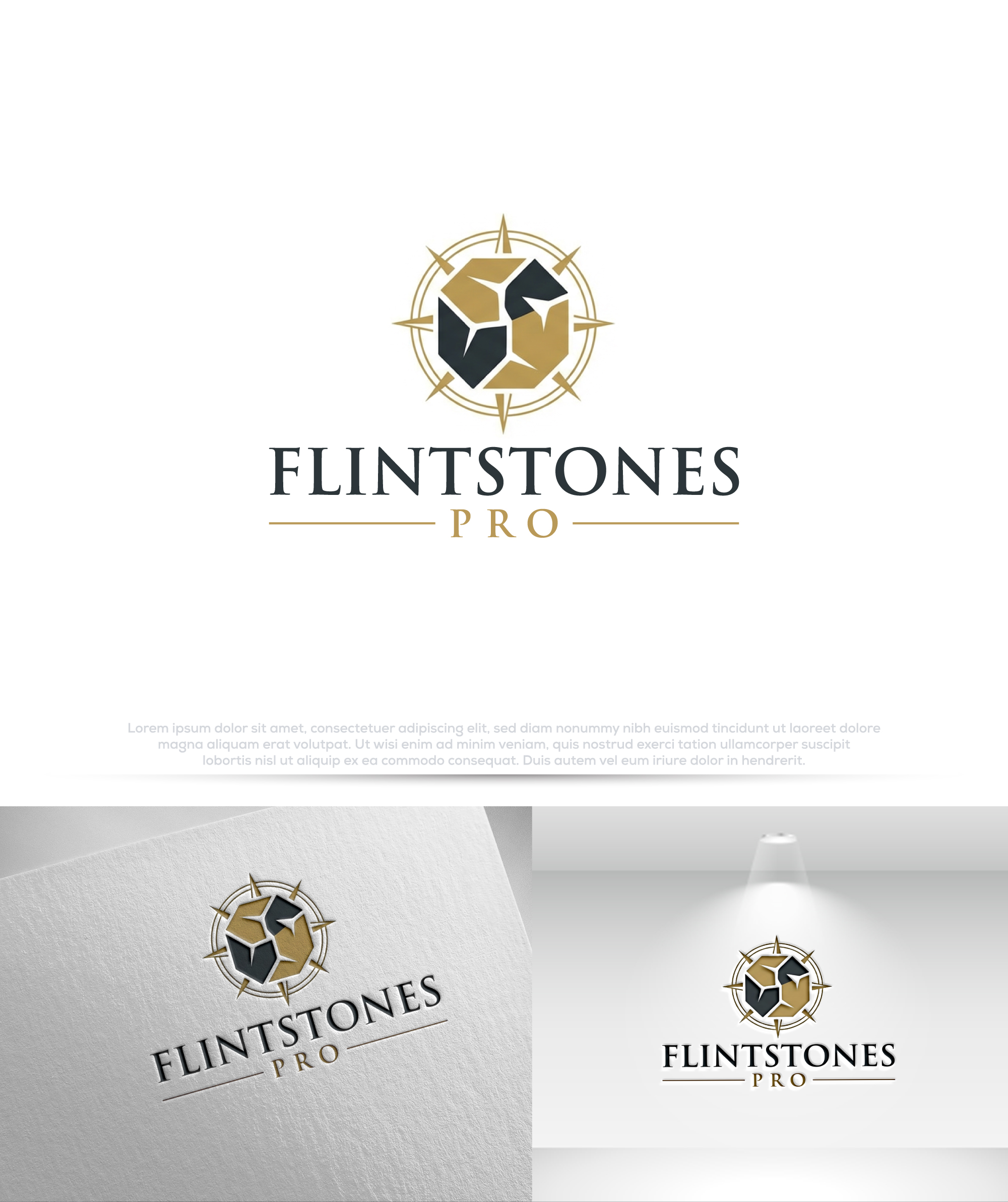 Logo Design by Pilot_DesignR™ for this project | Design #36639877