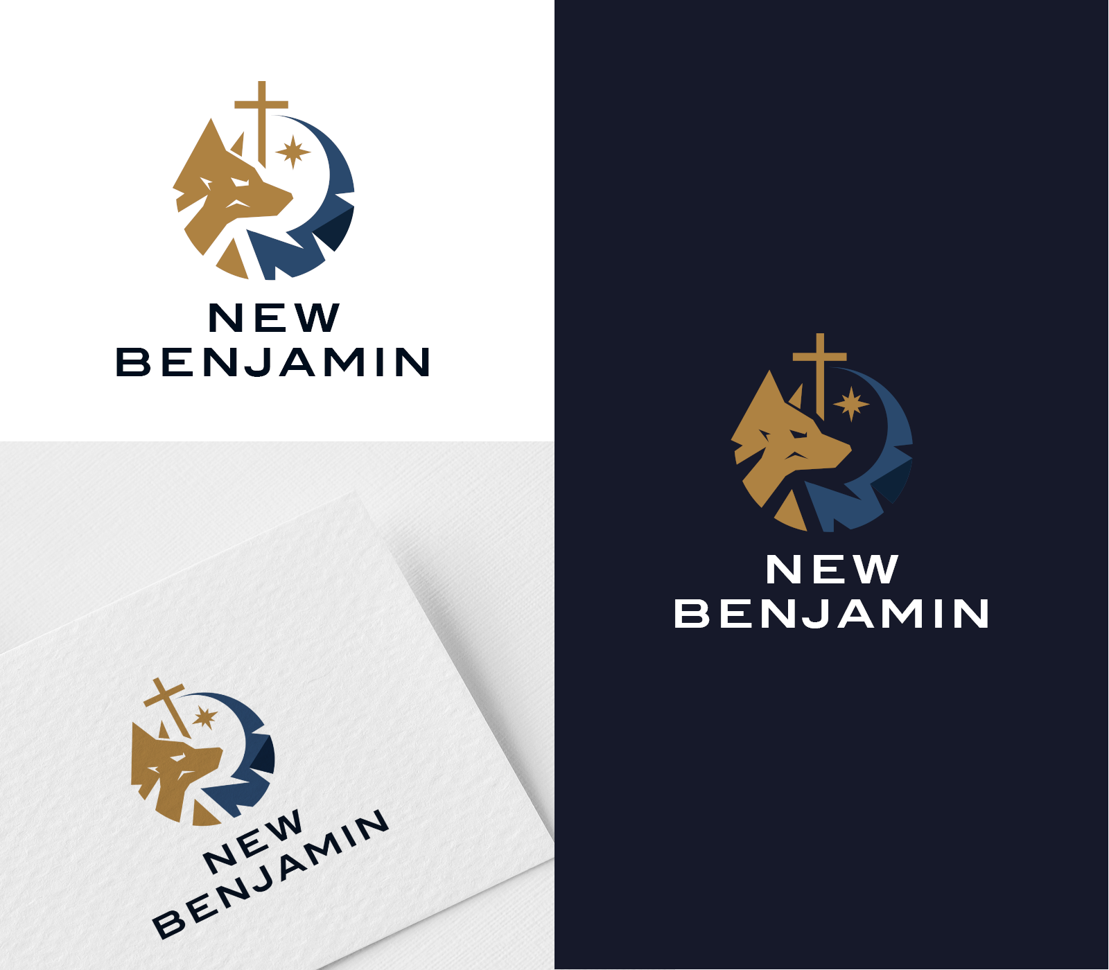 Design de Logo par Innovative Graphix pour ce projet | Design #36620160