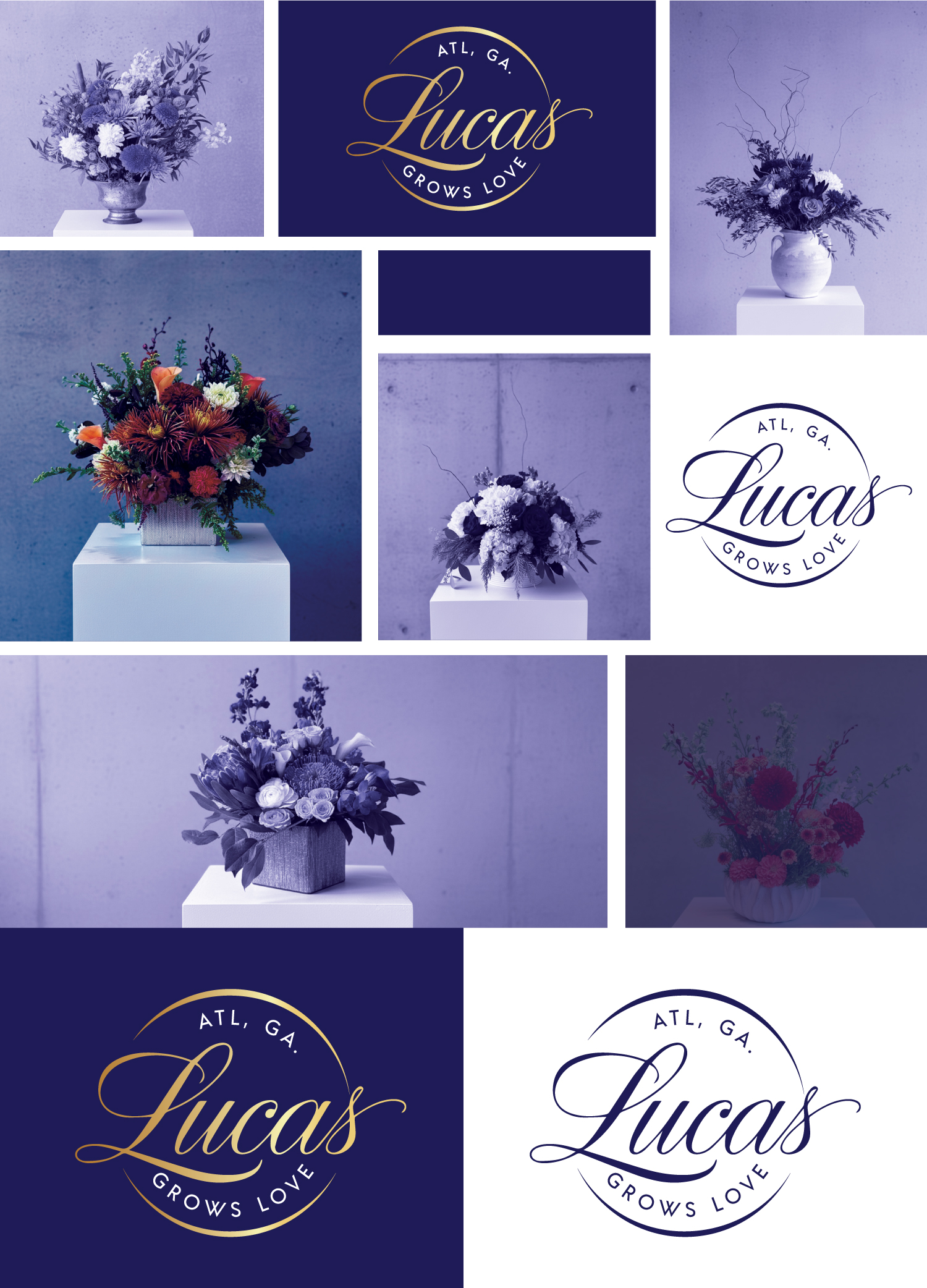 Design de Logo par StromDesignHub pour the Little Lucas | Design #36633083