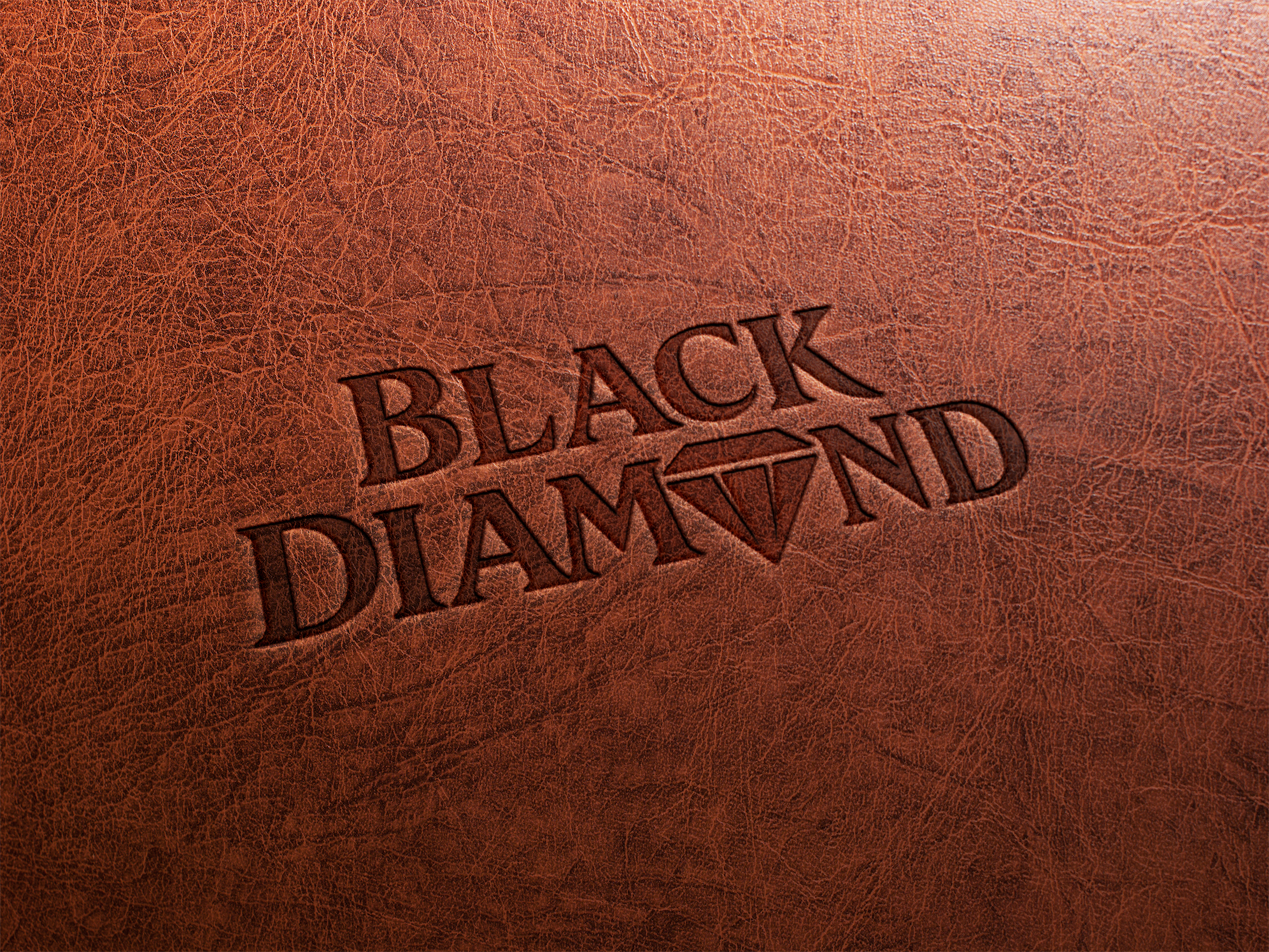 Logo Design by whizz_design for this project | Design #36643584