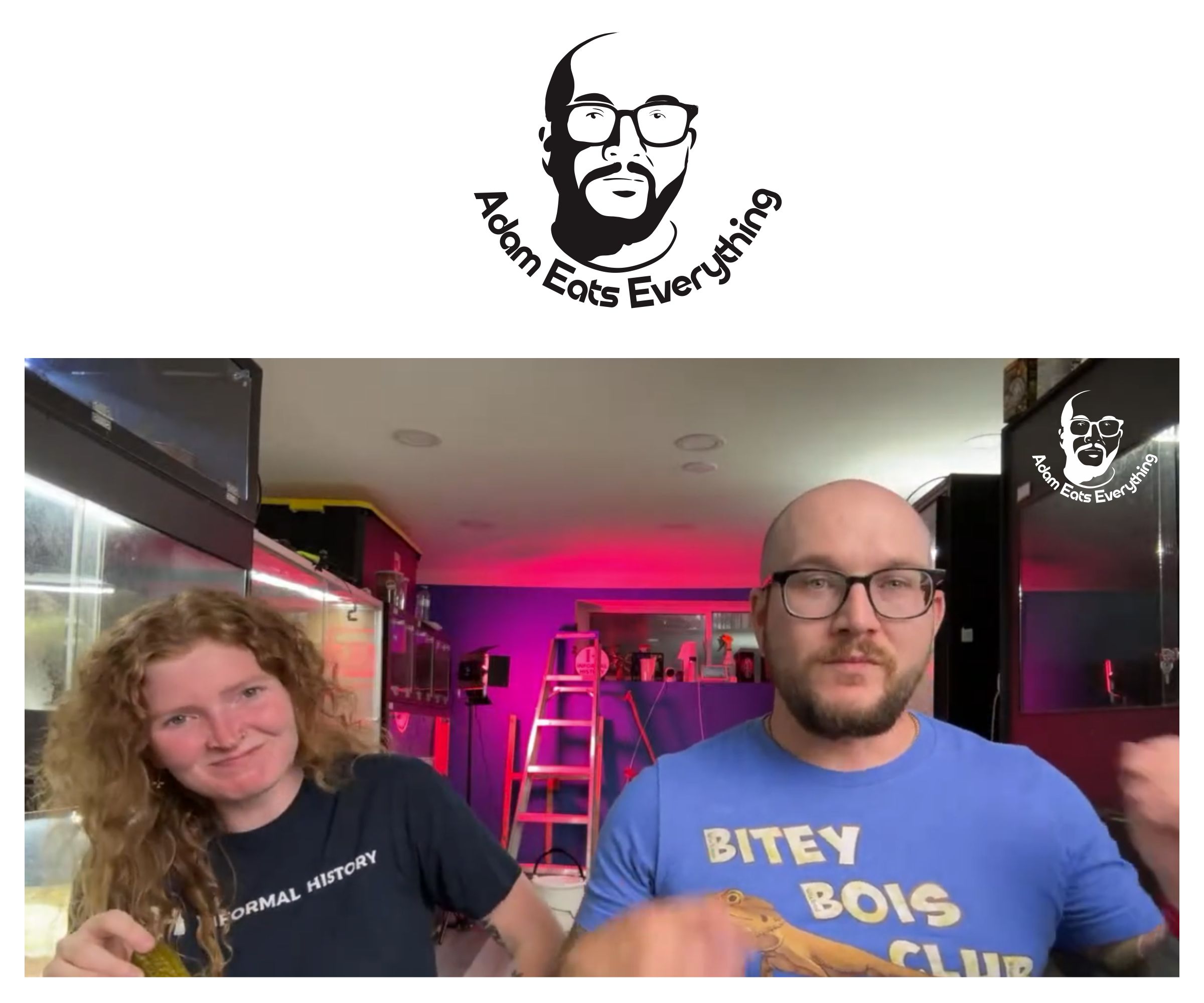 Logo-Design von joe99_Art für Viper Valley Media | Design #36640063