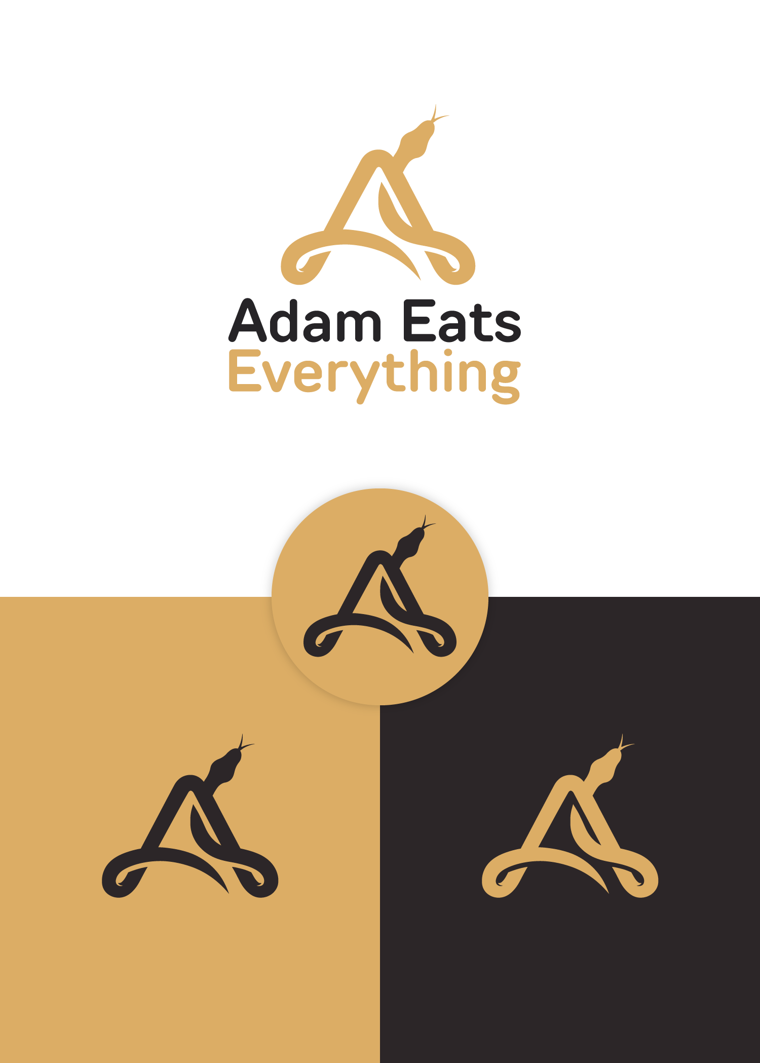 Logo-Design von Abdul 20 für Viper Valley Media | Design #36641125