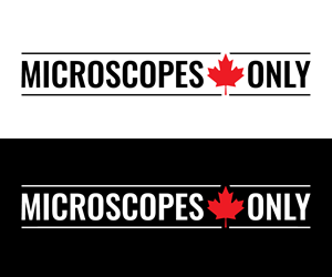 Logo Design by Adi Graphics for this project | Design: #36649187