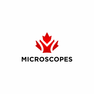 Logo Design by beard.art for this project | Design: #36671907