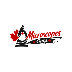 Diseño de Logo por whizz_design para este proyecto | Diseño: #36647149