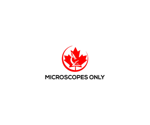 Diseño de Logo por ayanpixel para este proyecto | Diseño: #36645447