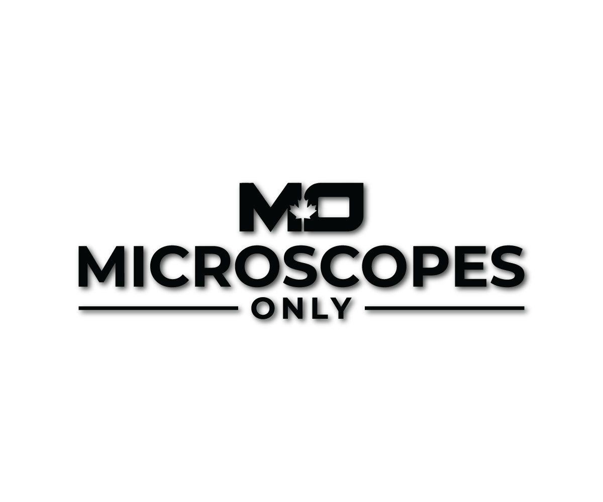 Design de Logo par ThemeBoss pour ce projet | Design #36742591