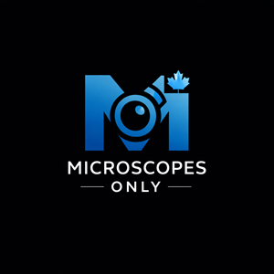 Logo Design by BEANDESIGN^_^