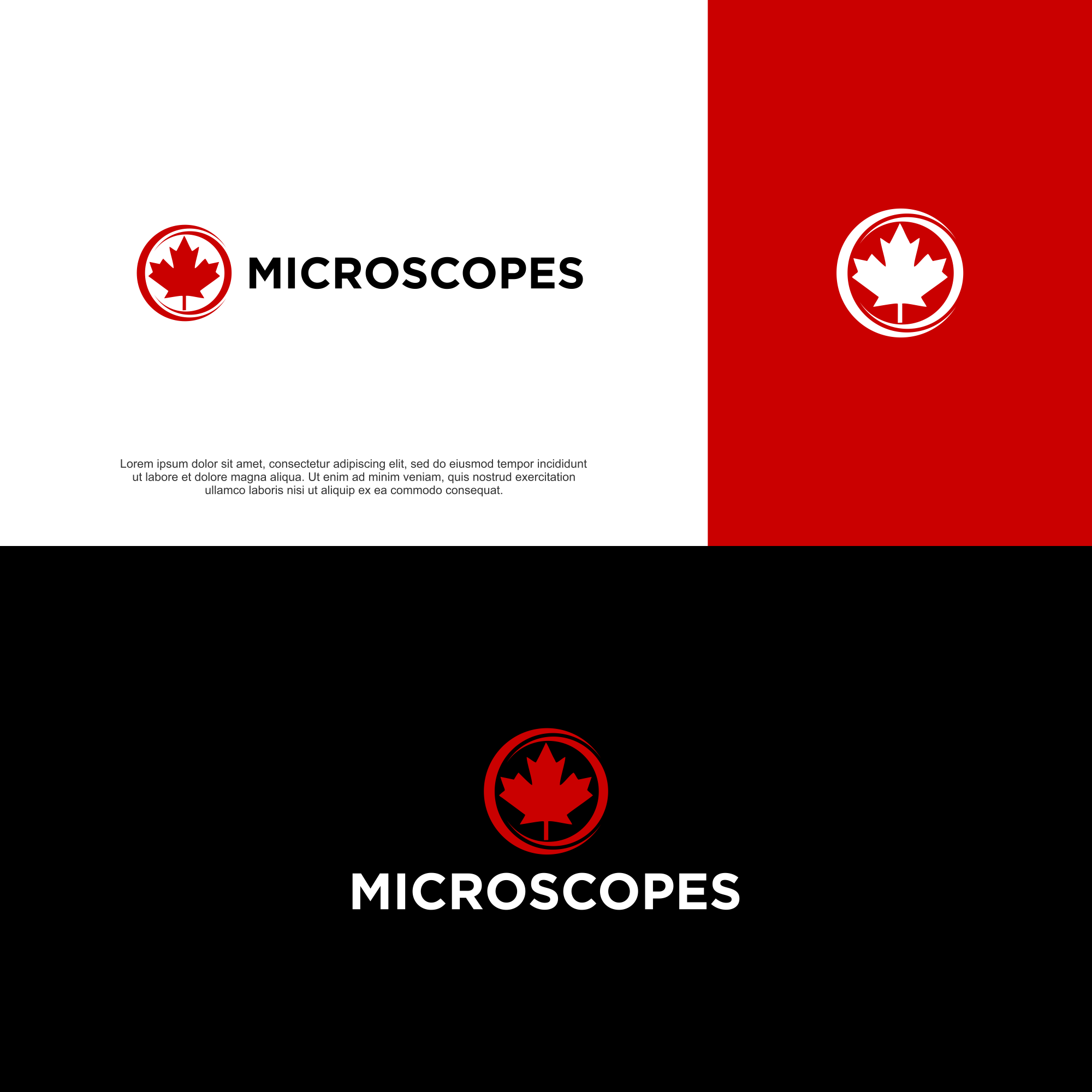 Diseño de Logo por ni9 para este proyecto | Diseño #36667590