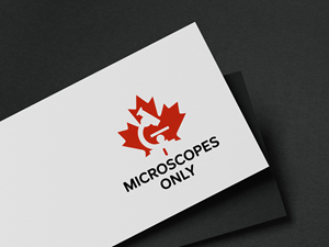 Diseño de Logo por nomi Creations para este proyecto | Diseño: #36650572