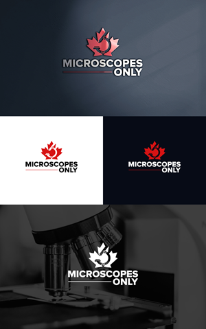 Logo Design by BehindSymbols for this project | Design: #36667682