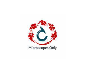 Diseño de Logo por AlphaDezin3 para este proyecto | Diseño: #36645343