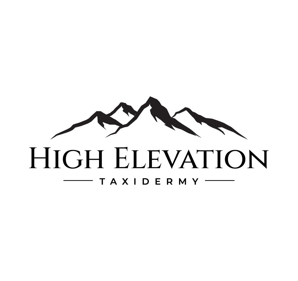 Logo Design by Onse Officials for this project | Design #36655701