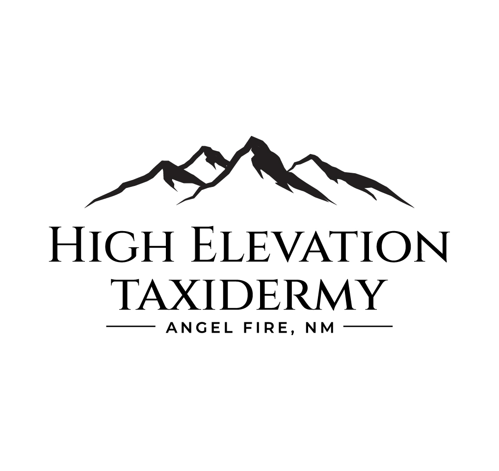 Logo Design by Onse Officials for this project | Design #36678650