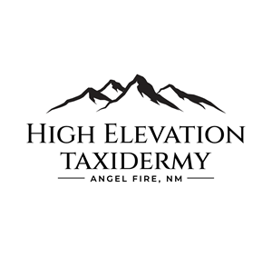 Logo Design by Onse Officials for this project | Design #36678650