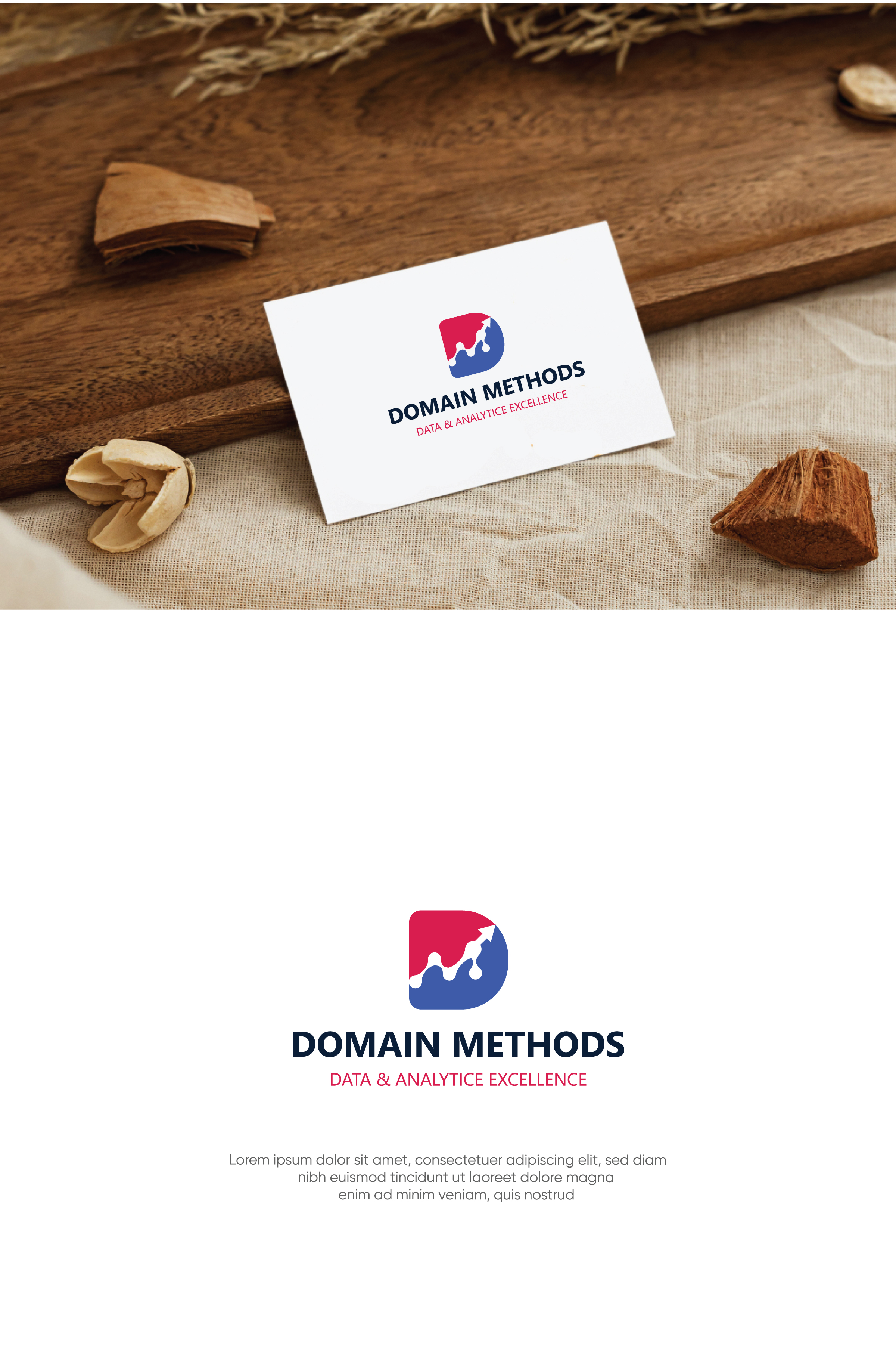 Diseño de Logo por Md. Fariduzzaman para Domain Methods | Diseño #36654109