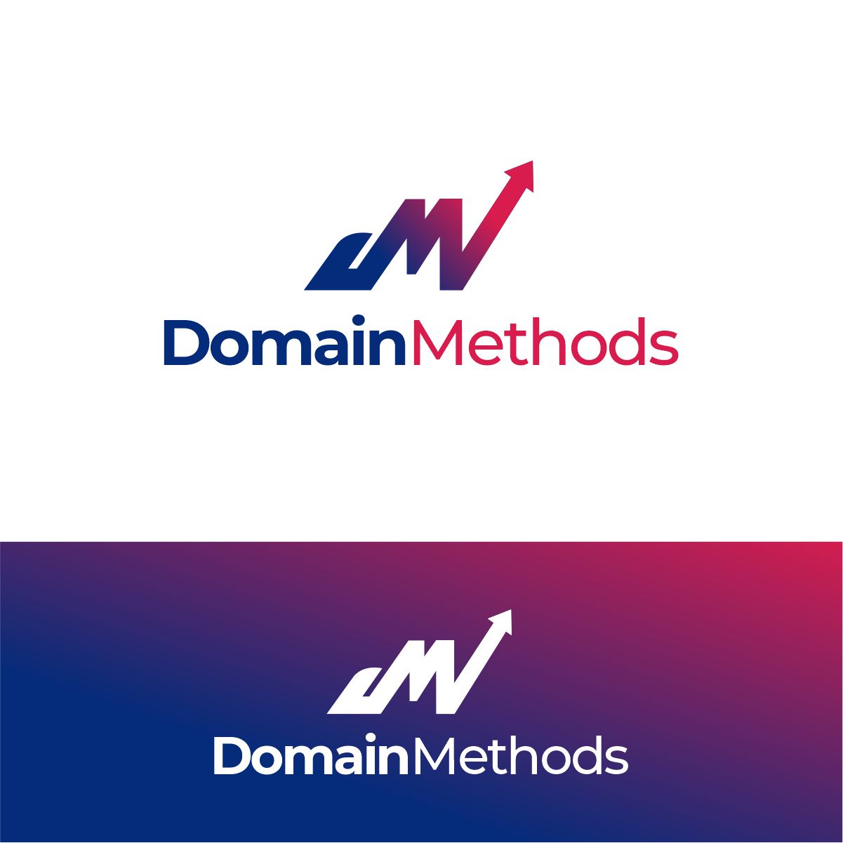 Diseño de Logo por OrianO-70 para Domain Methods | Diseño #36678828