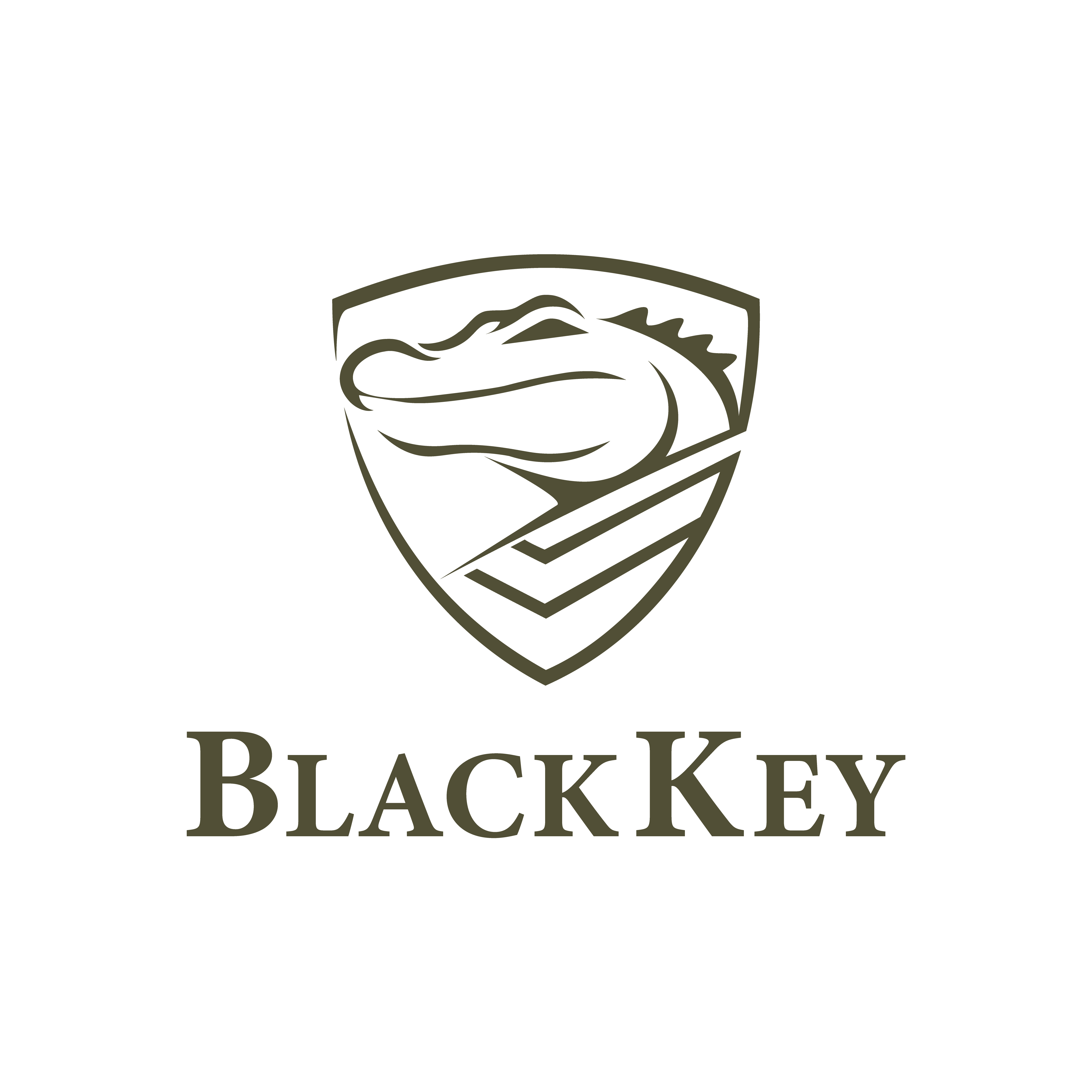 Logo Design by ctoon 2024 for this project | Design #36725455