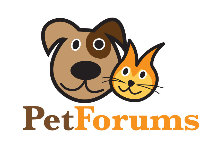 Logo Design by Tiago for this project | Design #3114435