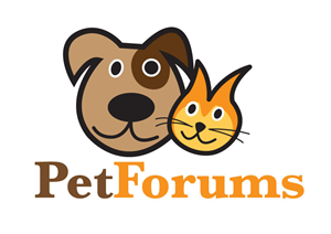 Logo Design by Tiago